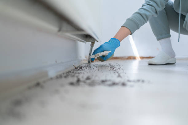 Best Bed Bug Extermination  in Marceline, MO